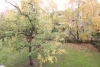 Stilvolles Wohnen in Düsseldorf - Oberkassel! - Ausblick