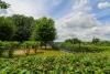 Exklusive Gartenwohnung direkt am Naturschutzgebiet - Baldeneysee